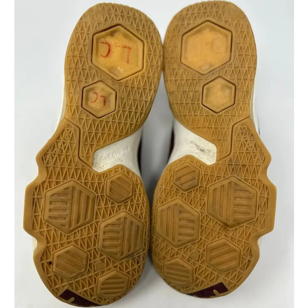 Nike X LeBron James nike lebron